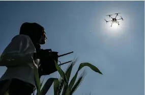  ?? ?? Himanshi, a certified remote pilot trained under the government-backed ‘Drone Sister’ programme, operating a drone to spray liquid fertiliser over a farm in Pataudi.