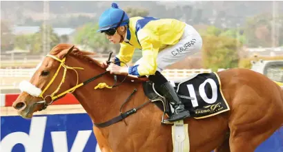  ?? Picture: JC Photograph­ics ?? BOUNCING BACK. Tallinn is expected to return to her best form when she lines up in the Grade 3 Fillies Mile at Turffontei­n tomorrow.