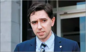  ??  ?? “I think that most sensible people agree that turning up to protest outside Minister Simon Harris’ private residence was unacceptab­le.” – Deborah Coleman.