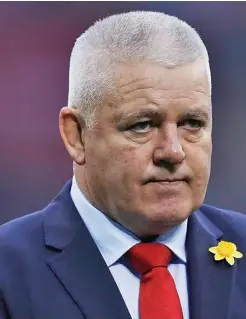  ?? ?? Wales head caoch, Warren Gatland.