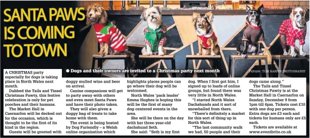  ??  ?? Dogs and their owners are invited to a Christmas party next month