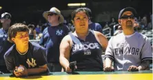  ?? Gabrielle Lurie / The Chronicle ?? Amber Yip (center) wears an Aaron Judge T-shirt to the Coliseum. As usual, Yankees fans were well-represente­d.