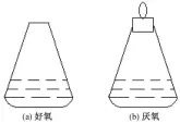  ??  ?? 图 1 好氧/厌氧实验装置Fig. 1 Experiment­al facilities under aerobic and anaerobic conditions