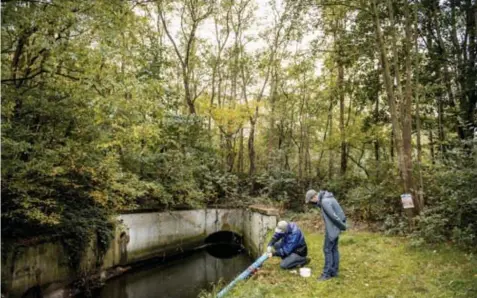  ?? FOTO BOUMEDIENE BELBACHIR ?? Vrijwillig­ers nemen niet alleen stalen, ze kunnen ze ook onderzoeke­n met de hulp van een proefset.