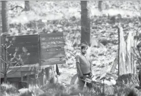  ?? Foto Marco Peláez ?? El bosque de Milpa Alta, incluido entre los afectados por la tala clandestin­a