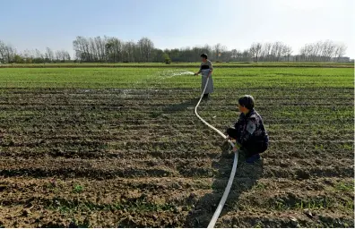  ??  ?? Villagers of Yangzhuang in Linquan County of east China’s Anhui Province irrigate their field as a drought drags on in the region.