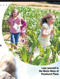  ??  ?? Lose yourself in the Maize Maze at Penshurst Place