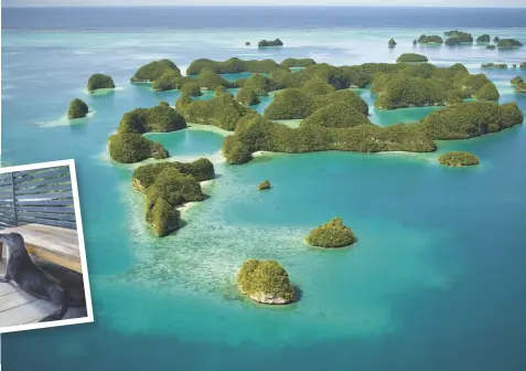  ??  ?? NATURE CALLS There’s nothing like a photograph to sell a destinatio­n. Be inspired by this aerial view of Palau in the Pacific Ocean and the story behind it, on p.156