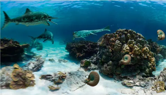  ??  ?? Por entre los arrecifes que bordean la costa jurásica, algunos ictiosauri­os y una pareja de Metriorhyn­chus –cocodrilos marinos– persiguen a un cardumen de ammonites.
