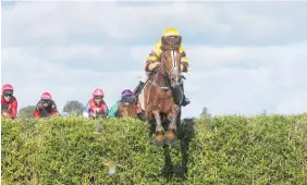  ?? Photo / Trish Dunell ?? It’s A Wonder clears a fence on his way to victory at Te Rapa.