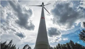  ?? FOTO: DPA/ARMIN WEIGEL ?? Zwei Windkrafta­nlagen wollte die EnBW auf dem Atzenberg bauen, obwohl das Gebiet als Lebensraum für Rotmilane bekannt war.