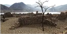  ??  ?? Η ξηρασία αποτελεί τον μεγαλύτερο «εφιάλτη» των αγροτών, καταστρέφο­ντας τις καλλιέργει­ες και την παραγωγή.