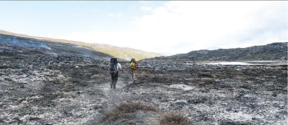  ?? PHOTOS: DINA MISHEV/FOR THE WASHINGTON POST ?? The aftermath of last summer’s wildfires along the Arctic Circle Trail looked like an epic battle had been waged on the country’s land.