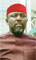  ??  ?? Rochas Okorocha