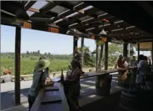  ??  ?? Visitors in the outdoor tasting room at Iron Horse Vineyards in Sebastopol, Calif. It’s a rustic experience boasting million-dollar views.