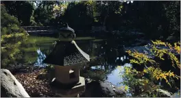  ??  ?? A Japanese-style stone lantern stands next to a footpath with a view to the central pond in the Japanese Garden at Lotusland on Nov. 23 in Montecito. The Japanese Garden recently underwent a $6 million renovation.