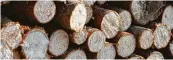  ??  ?? Aus diesen Materialie­n lassen sich Fasern herstellen: Holz, recycelter Kunststoff, Kaffeesatz und Milch.