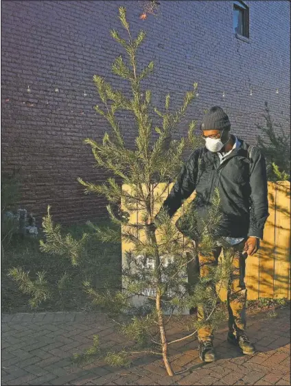  ??  ?? Brian Palmer of Richmond holds his recently purchased tree outside of Pichel’s tree lot.