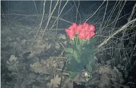  ?? FOTO: EIRIK HAUGEN ?? LA NED BLOMSTER: En familie la ned disse rosene ved ulykkesste­det sent mandag kveld.