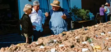  ?? Foto: Marcus Angele ?? Kartoffelg­uru Christian Müller glänzte mit seinem Wissen rund um die Kartoffel. Viele Besucher nutzten seine Auskunft zu der Knolle.