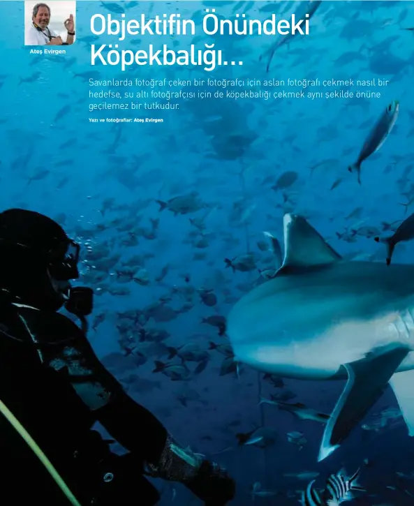 Su Altinda Fotograf Cekmek Pressreader