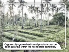  ?? ?? Organicall­y-grown herbs and produce can be seen growing within the 48-hectare sanctuary