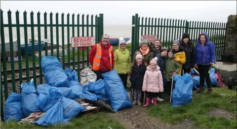  ??  ?? Members and helpers of Wexford Estuary Clean Coast Group with bags of rubbish picked up in the Maudlintow­n area.