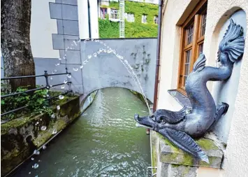  ?? Foto: Anne Wall ?? Das verzweigte Kanalsyste­m in Augsburg – hier ein Bild vom Brunnenmei­sterhaus am Roten Tor – machte Augsburgs Wasser versorgung einst weltweit einzigarti­g. Mit der historisch­en Wasservers­orgung bewirbt sich die Stadt nun bei der Unesco um den Welterbe...