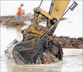  ??  ?? THE NONPROFIT GROUP has tried since 2011 to acquire the Newland Marsh, the group’s chair says. Above, restoratio­n work on the Magnolia Marsh in 2010.