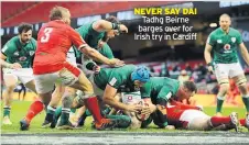  ??  ?? NEVER SAY DAI Tadhg Beirne barges over for Irish try in Cardiff