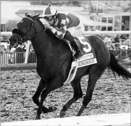  ?? COADY PHOTOGRAPH­Y ?? Santa Anita Derby hopeful Stronghold turned heads at Santa Anita on Monday by outworking Gold Phoenix and Motorious.