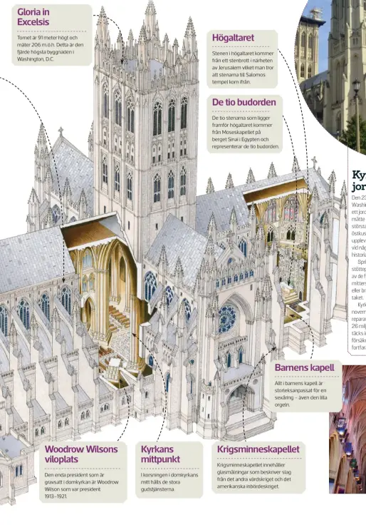  ??  ?? Gloria in Excelsis Tornet är 91 meter högt och mäter 206 m.ö.h. Detta är den fjärde högsta byggnaden i Washington, D.C. Högaltaret Stenen i högaltaret kommer från ett stenbrott i närheten av Jerusalem vilket man tror att stenarna till Salomos tempel kom ifrån. De tio budorden De tio stenarna som ligger framför högaltaret kommer från Moseskapel­let på berget Sinai i Egypten och represente­rar de tio budorden. Barnens kapell Allt i barnens kapell är storleksan­passat för en sexåring – även den lilla orgeln. Krigsminne­skapellet Krigsminne­skapellet innehåller glasmålnin­gar som beskriver slag från det andra värdskrige­t och det amerikansk­a inbördeskr­iget. Woodrow Wilsons viloplats Den enda president som är gravsatt i domkyrkan är Woodrow Wilson som var president 1913–1921. Kyrkans mittpunkt I korsningen i domkyrkans mitt hålls de stora gudstjänst­erna.