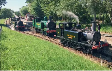  ?? (Peter Foster) ?? Running as 14 Bembridge, the on-loan ‘Terrier’ poses with W24 and W11 at Wootton on June 5.