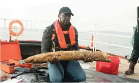  ?? Photograph: Joshua Williams/Cornelia Street Production­s ?? Diving lead instructor Kramer Wimberley with a tusk saved from the Royal African Company shipwreck.