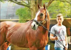  ?? PHOTO COURTESY BRIEN BOUYEA ?? Travers Stakes morning line favorite Good Magic, trained by Chad Brown, is walked around his barn earlier this week.