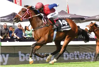  ?? Picture: JC Photograph­ics ?? VALUE. Royal Victory is currently quoted at 5-1 to win today’s World Pool Premier’s Champions Challenge over 2000m at Turffontei­n and Muzi Yeni believes his mount will provide good value for punters.
