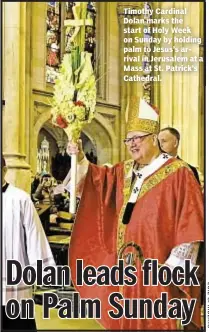  ??  ?? The Associated Press Timothy Cardinal Dolan marks the start of Holy Week on Sunday by holding palm to Jesus’s arrival in Jerusalem at a Mass at St. Patrick’s Cathedral.