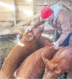  ??  ?? André Houle, a third-generation farmer near Ottawa, made the decision to farm organicall­y and regenerati­vely in 2018.