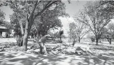  ??  ?? Vegetación. Una extensa área verde adornará el Parque Los Nogales, para deleite de chicos y grandes.