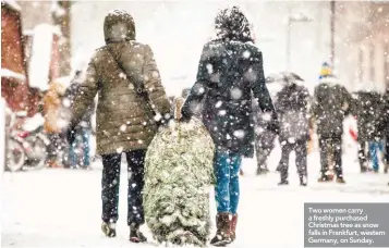  ??  ?? Two women carry a freshly purchased Christmas tree as snow falls in Frankfurt, western Germany, on Sunday.