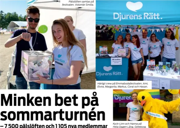  ??  ?? Pälslöften samlas på festivalen. Volontär Smilla. Härligt crew på Emmabodafe­stivalen. Ami, Elvira, Margarita, Markus, Coral och Hasan. Kyck-linn och Hanna på Hela Dagen Lång, Göteborg.