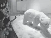  ?? XIAO XIOANG / FOR CHINA DAILY ?? The polar bear at the Grandview Plaza aquarium in Guangzhou is the center of attention for visitors over the weekend.