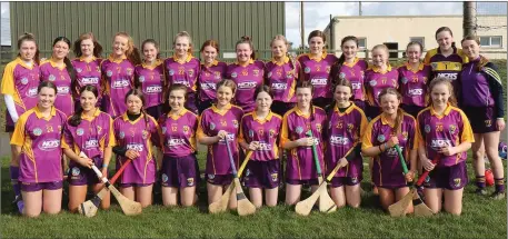  ??  ?? The Wexford Under-16 ‘B’ camogie squad before their 0-13 to 0-4 Leinster championsh­ip loss to Kildare in St. Patrick’s Park on Sunday.