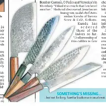 It’s Japanese knives out in Kochi - PressReader