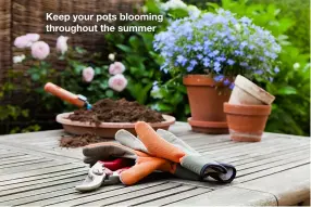  ??  ?? Keep your pots blooming throughout the summer