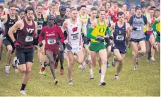  ?? DOUG MCSCHOOLER/ASSOCIATED PRESS FILE ?? Runners compete in the NCAA Division I men’s cross country championsh­ips on Nov. 23. Four-year colleges facing budget shortfalls stemming from the coronaviru­s outbreak have eliminated a total of nearly 100 sports programs.