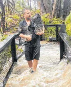  ?? FOTO: AUSTRALIAN REPTILE PARK/AFP ?? In diesem Zoo 50 Kilometer nördlich von Sydney mussten alle Tiere vor dem Wasser in Sicherheit gebracht werden.