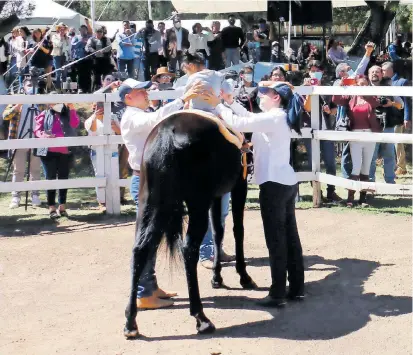  ?? MIZPAH ZAMORA ?? Especialis­tas dieron una demostraci­ón de equinotera­pia ante las autoridade­s estatales