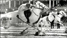  ?? ?? Ancient skill: Pakistani riders demonstrat­e tent-pegging