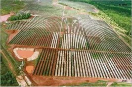  ?? COURTESY OF CHASE GIBSON ?? The Silicon Ranch solar project in Stewart County is shown from the air April 9, 2020.